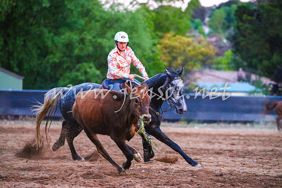 OrangeCampdraft2017_3527