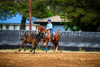 OrangeCampdraft2017_2885