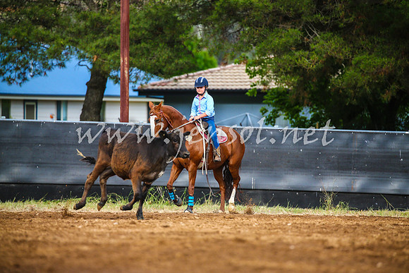 OrangeCampdraft2017_2885