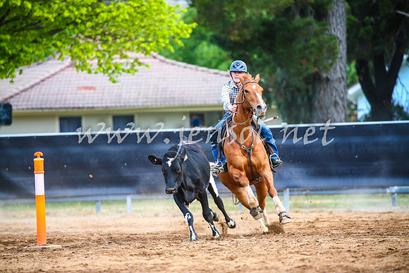 OrangeCampdraft2017_3247