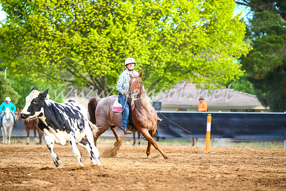 OrangeCampdraft2017_2986