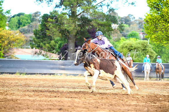 OrangeCampdraft2017_2973