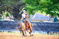 OrangeCampdraft2017_2931