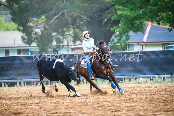 OrangeCampdraft2017_3334