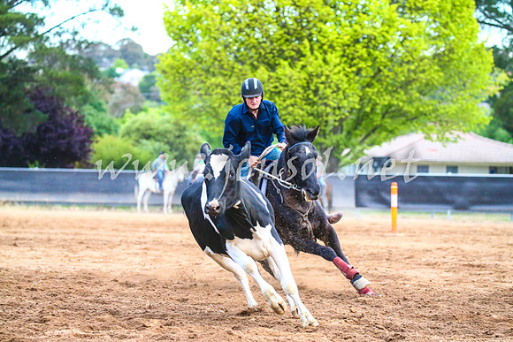 OrangeCampdraft2017_3417