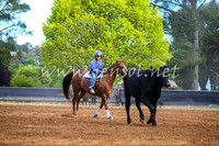 OrangeCampdraft2017_2840