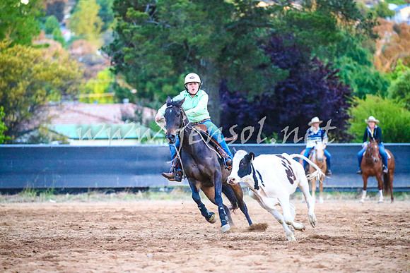 OrangeCampdraft2017_3482