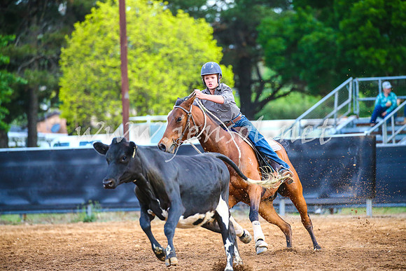 OrangeCampdraft2017_3061