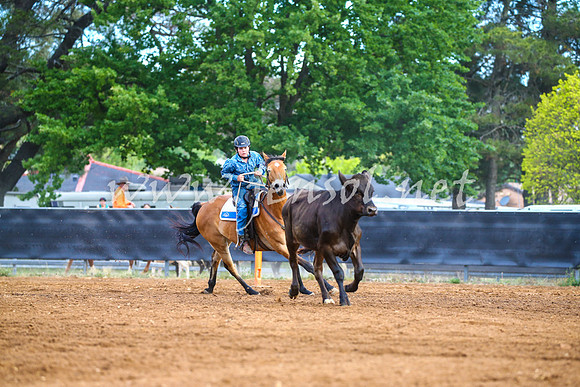 OrangeCampdraft2017_2848