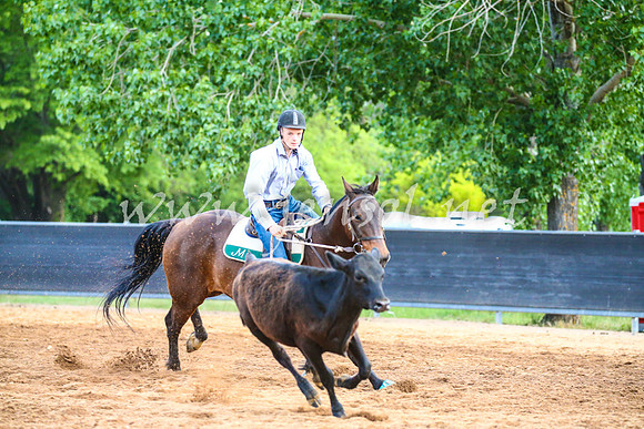 OrangeCampdraft2017_3210