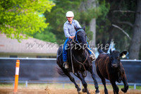 OrangeCampdraft2017_2860