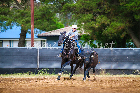 OrangeCampdraft2017_2870