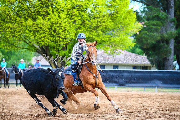 OrangeCampdraft2017_3213