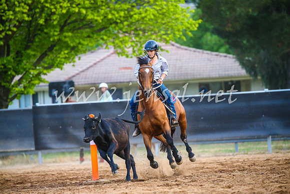 OrangeCampdraft2017_3279