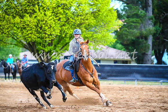 OrangeCampdraft2017_3214