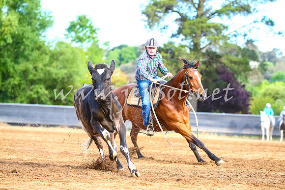 OrangeCampdraft2017_2942