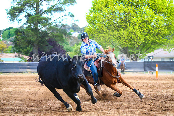 OrangeCampdraft2017_3264