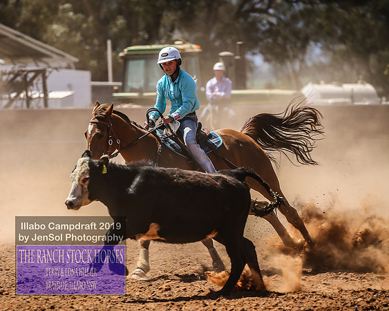 IllaboCampdraft2_4803