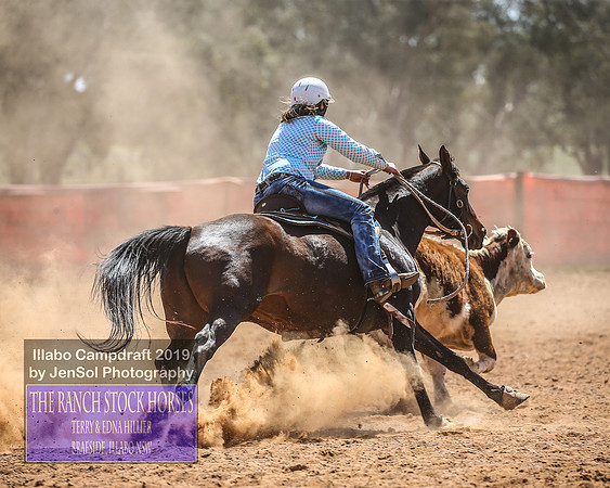 IllaboCampdraft2_4842