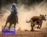 IllaboCampdraft2_4851