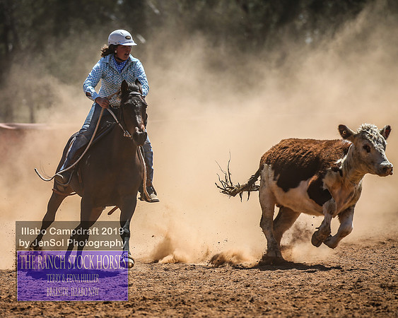 IllaboCampdraft2_4851