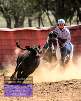 IllaboCampdraft2_4787