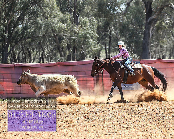 IllaboCampdraft2_4698