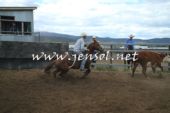 AdaminabyCampdraft2014_1301
