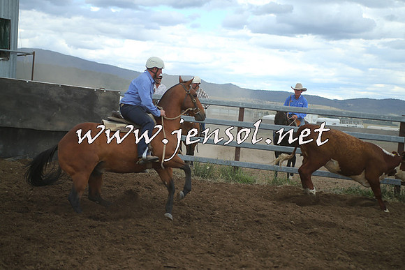 AdaminabyCampdraft2014_1507