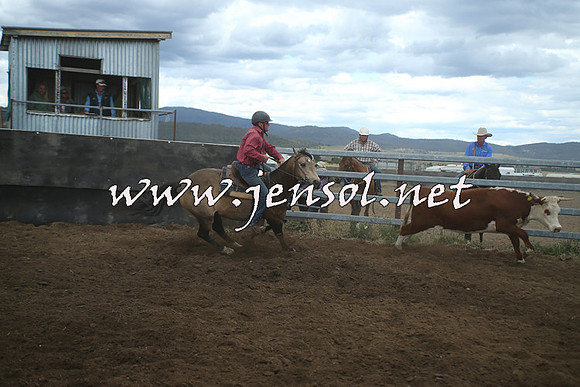 AdaminabyCampdraft2014_1549