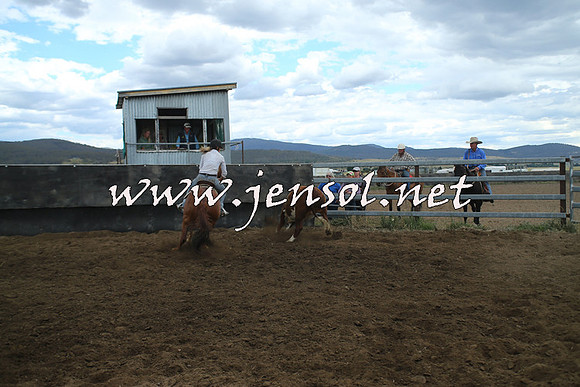 AdaminabyCampdraft2014_1392