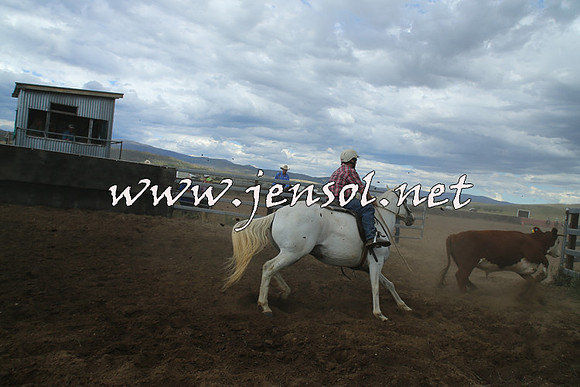 AdaminabyCampdraft2014_1215