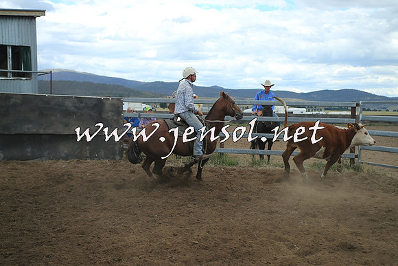 AdaminabyCampdraft2014_1307
