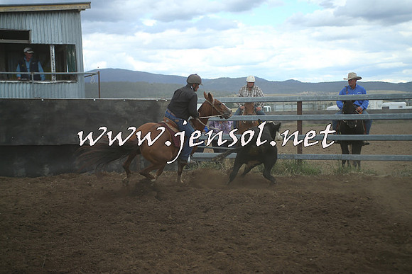 AdaminabyCampdraft2014_1480