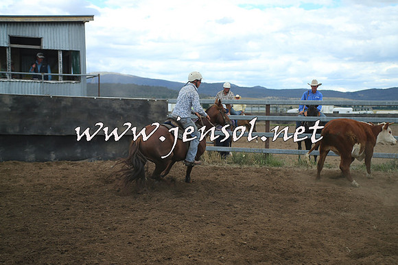 AdaminabyCampdraft2014_1300