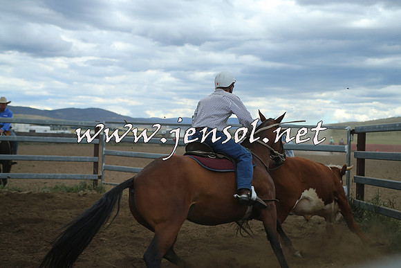 AdaminabyCampdraft2014_1491