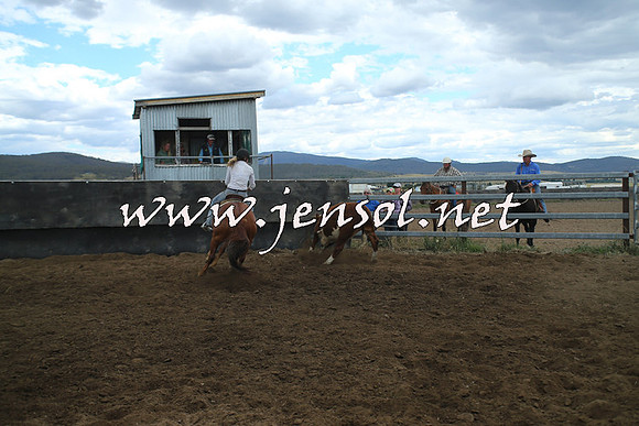 AdaminabyCampdraft2014_1393