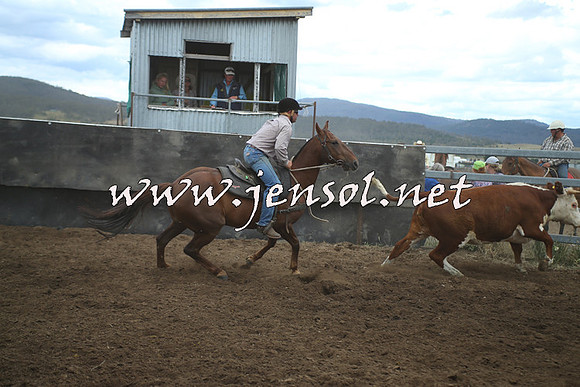 AdaminabyCampdraft2014_1336