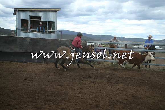 AdaminabyCampdraft2014_1555