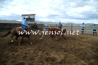 AdaminabyCampdraft2014_1218