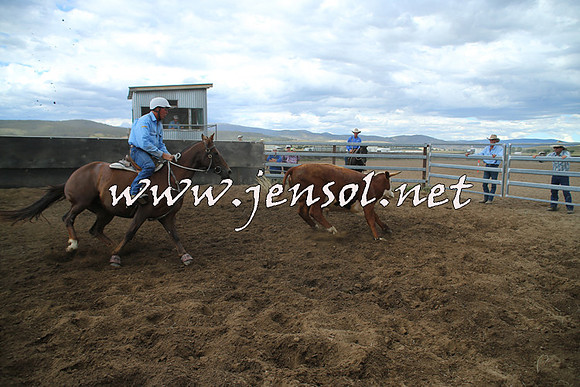 AdaminabyCampdraft2014_1218