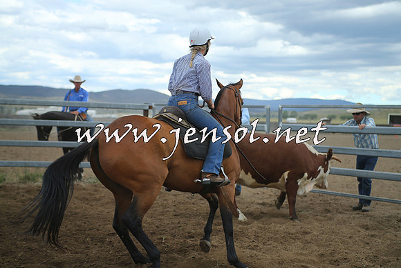 AdaminabyCampdraft2014_1347