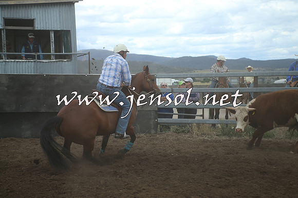 AdaminabyCampdraft2014_1320