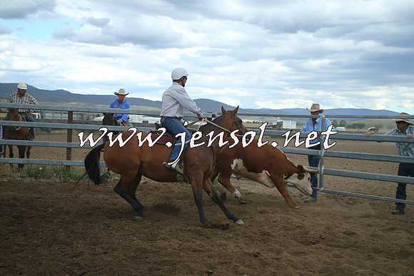 AdaminabyCampdraft2014_1485