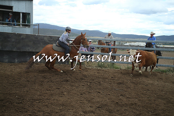 AdaminabyCampdraft2014_1380