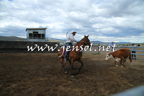AdaminabyCampdraft2014_1203
