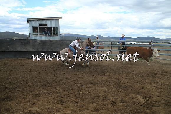 AdaminabyCampdraft2014_1271