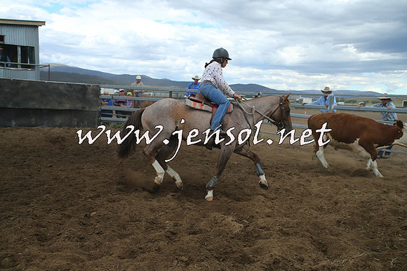 AdaminabyCampdraft2014_1275