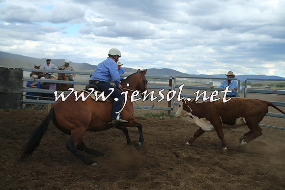 AdaminabyCampdraft2014_1509