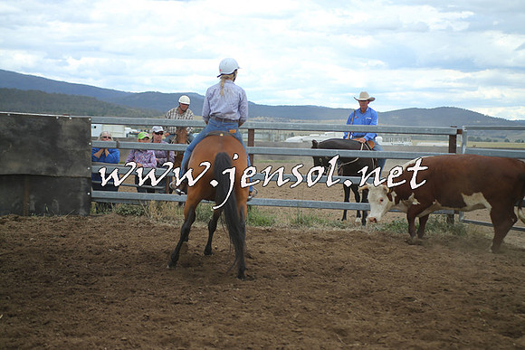 AdaminabyCampdraft2014_1352